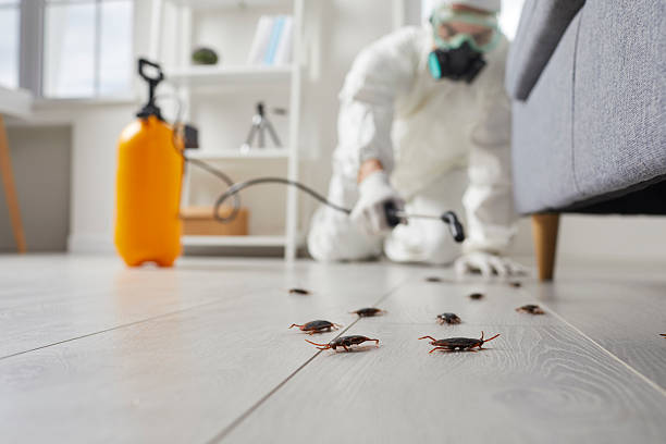 Trusted Cockroach Control service in Fox Point, WI - Nex Pest Control